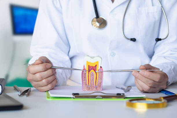 Best Emergency Treatment for Oral Infections in Point Baker, FL